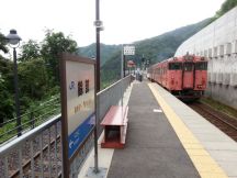 43807.jpg