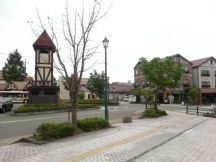 43826-5.jpg