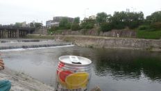 43851.jpg
