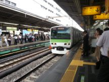 43861.jpg