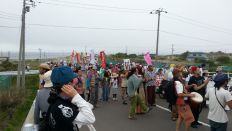 43907-2.jpg