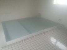 43921.jpg