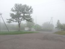 43927-1.jpg