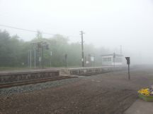 43927-5.jpg