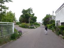 43931-5.jpg