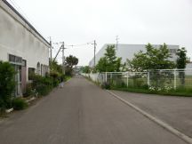 43931-6.jpg