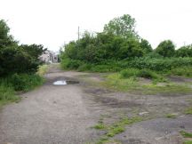 43937-1.jpg