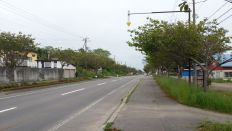 43945.jpg