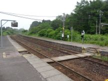 43947-3.jpg