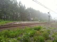 43951-5.jpg