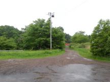 43957-5.jpg