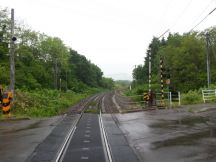 43962.jpg