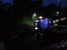 43967-2.jpg