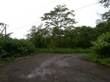 43969-6.jpg