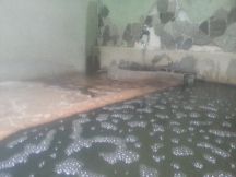 44013-3.jpg