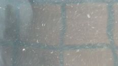 44025-2.jpg
