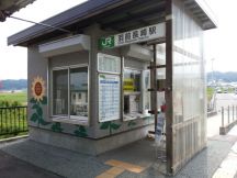 44051-2.jpg