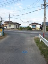44062-1.jpg