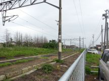 44100-6.jpg