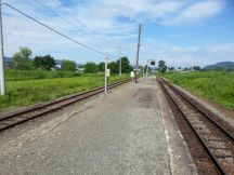 44117-1.jpg