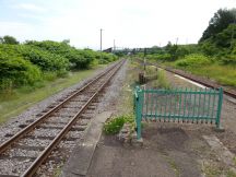 44119-1.jpg