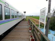 44162-5.jpg