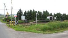 44165-6.jpg