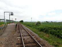 44168-3.jpg