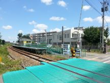 44173-5.jpg