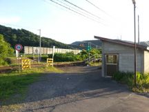 44193-3.jpg