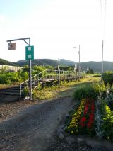 44193-5.jpg