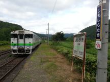 44230.jpg