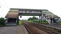 44249-6.jpg