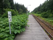 44251-1.jpg