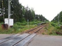 44252-1.jpg