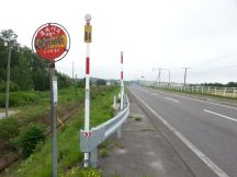 44254.jpg