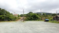 44274-6.jpg