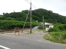 44275.jpg