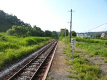 44277-1.jpg