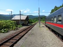 44305.jpg