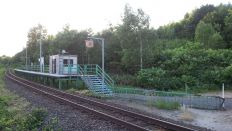 44312-6.jpg