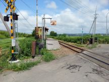 44331-1.jpg