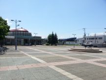 44336-5.jpg