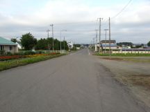 44348-5.jpg