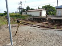 44381-1.jpg