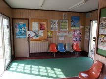 44381-4.jpg