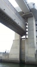 44442-2.jpg