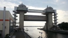 44459.jpg