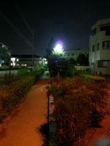 44464.jpg