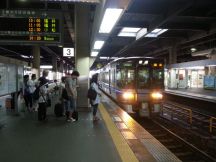 44497.jpg